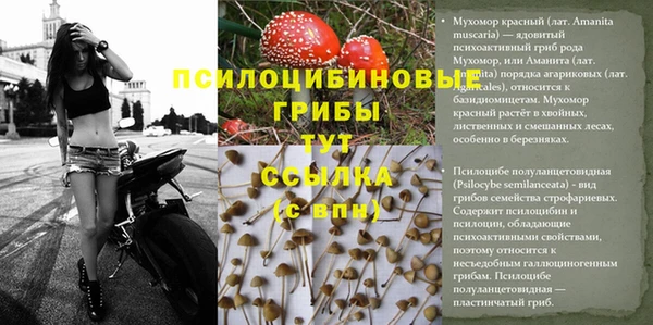 твердый Михайловск