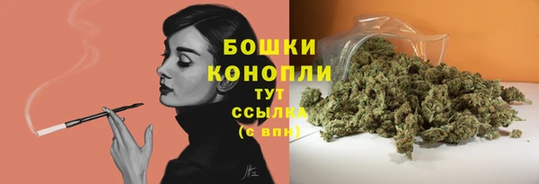 твердый Михайловск