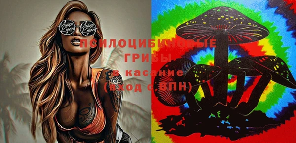 твердый Михайловск