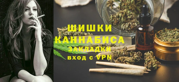 твердый Михайловск