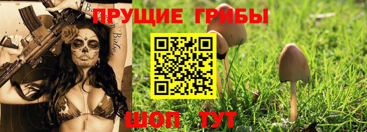 Острогожск  Псилоцибиновые грибы Cubensis  Вход с VPN  Псилоцибиновые грибы Psilocybe 