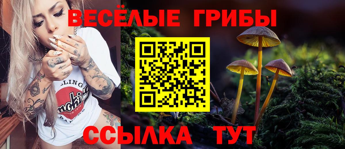 где купить наркоту  Вход с VPN  Острогожск  Галлюциногенные грибы Cubensis 