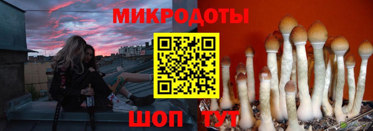 Псилоцибиновые грибы Magic Shrooms Острогожск