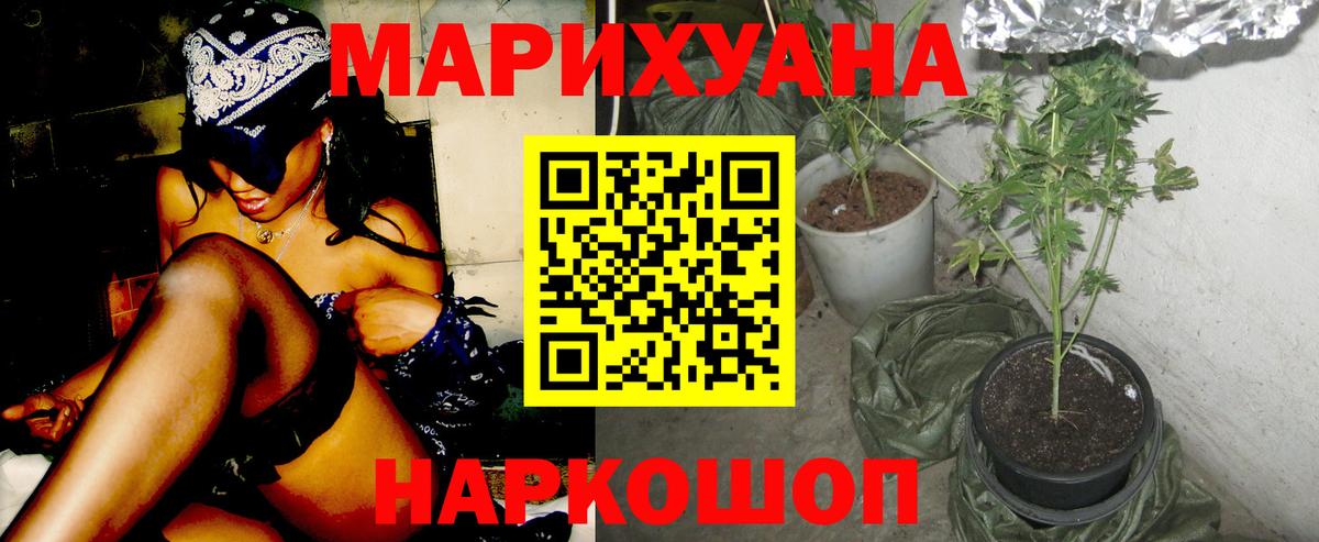 МАРИХУАНА планчик Острогожск